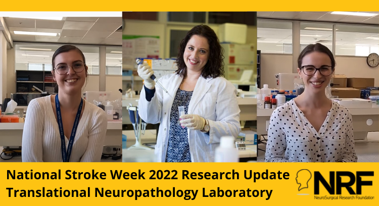 Stroke Week 2022 - Research Update image