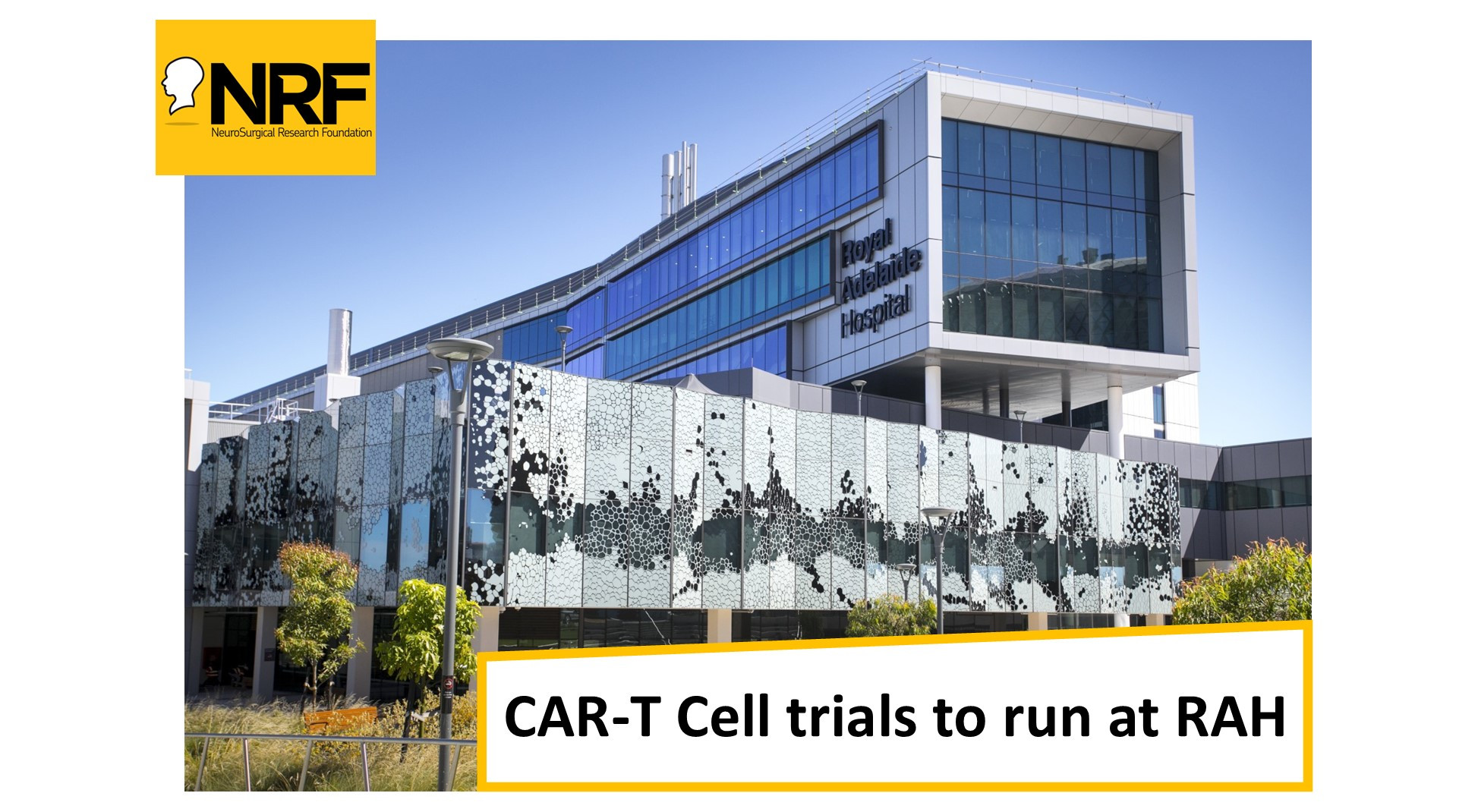 New Immunotherapy CAR-T Cell trials to run at RAH image