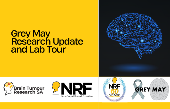 Grey May Brain Tumour Research Update Presentations 2023 image