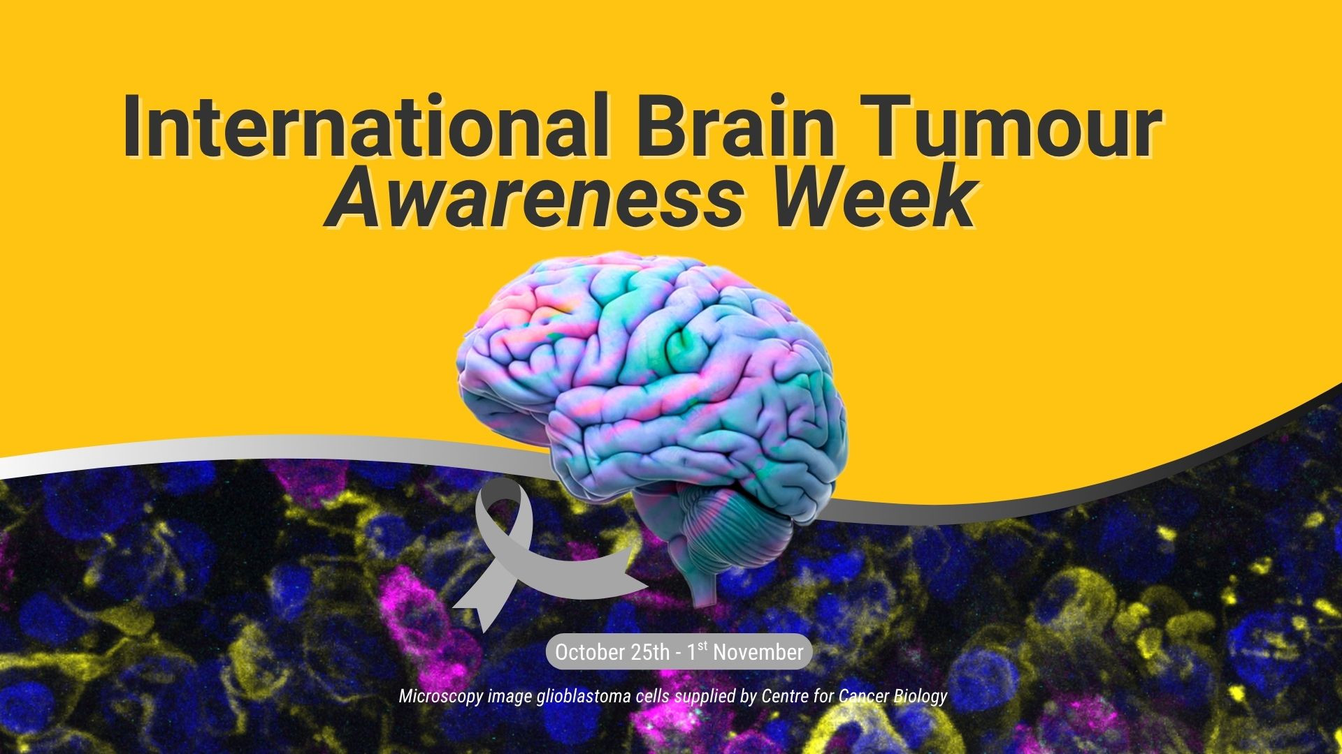 International Brain Tumour Awareness Week 2025 image