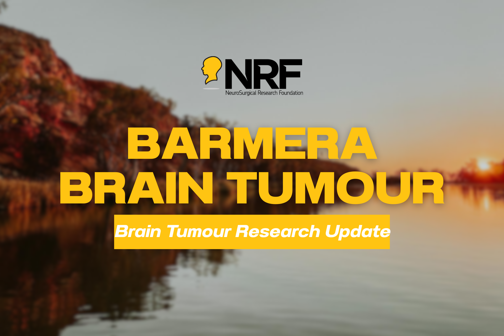 Barmera Brain Tumour Community Research Update image