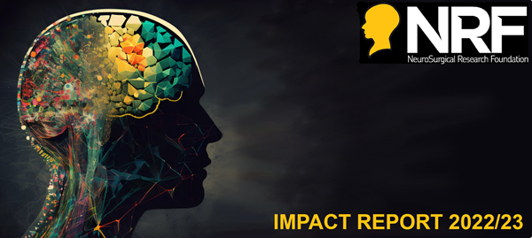 2022 2023 Impact Report image