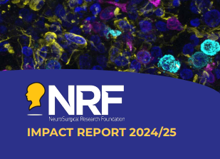 2024/2025 Annual Report NRF image