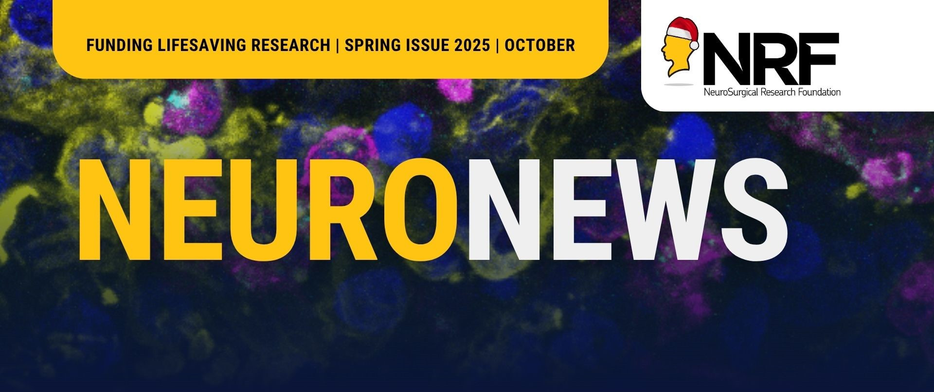 Act Fast. Give Hope | Neuro News October image