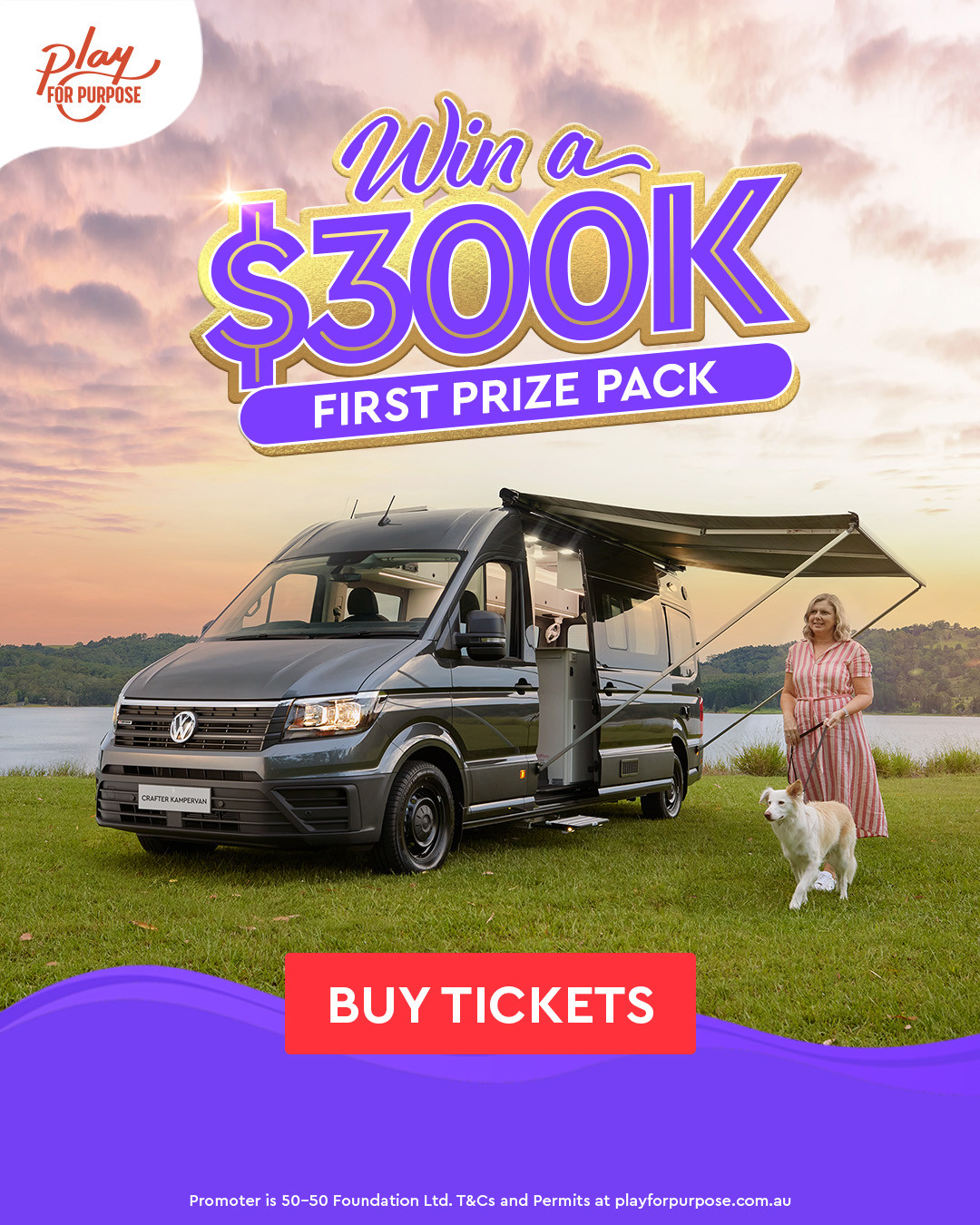 Play for Purpose Charity Raffle image