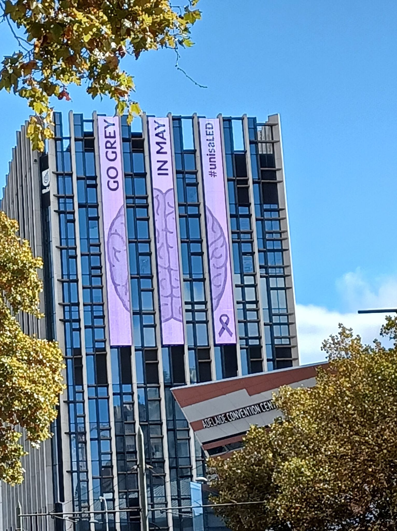 UniSA building grey may.jpg (469 KB)