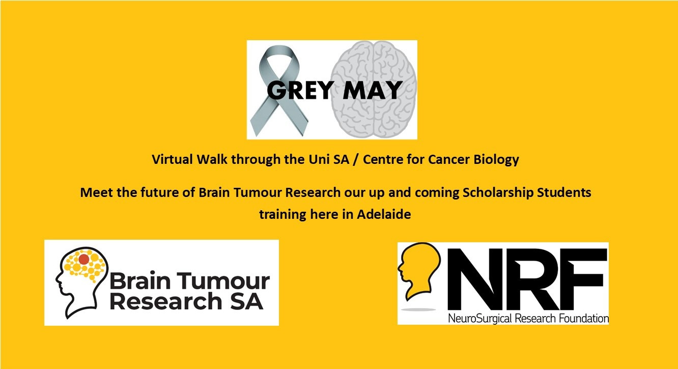 Meet the future of Brain Tumour Research our up and coming Scholarship Students training here in Adelaide image