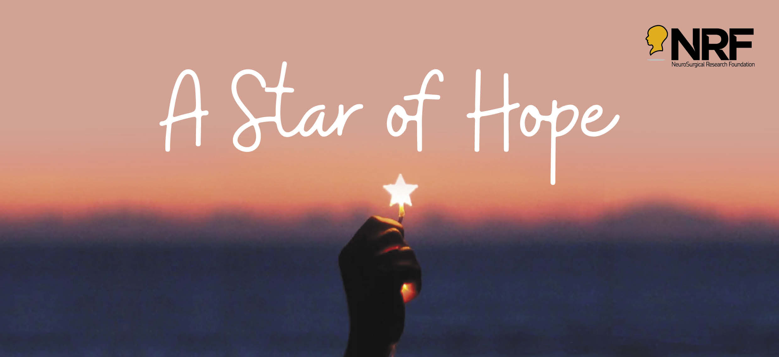NRF Star of Hope Virtual Appeal image