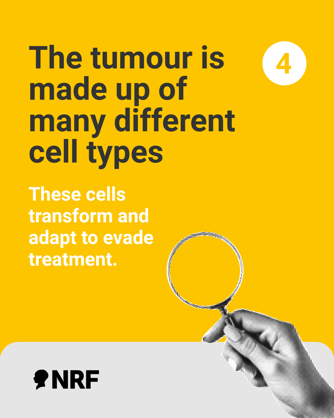 5 - GBM cell types.png (326 KB)