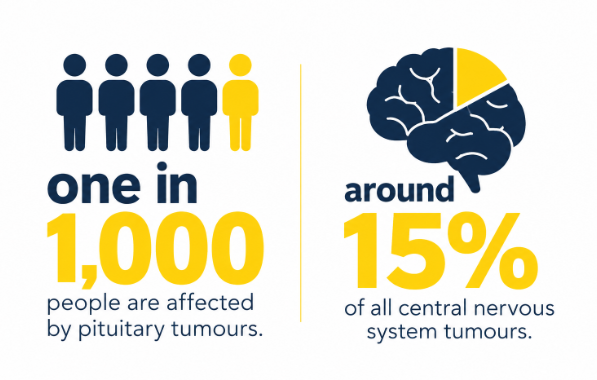 pituitary tumours info graphic.png (211 KB)