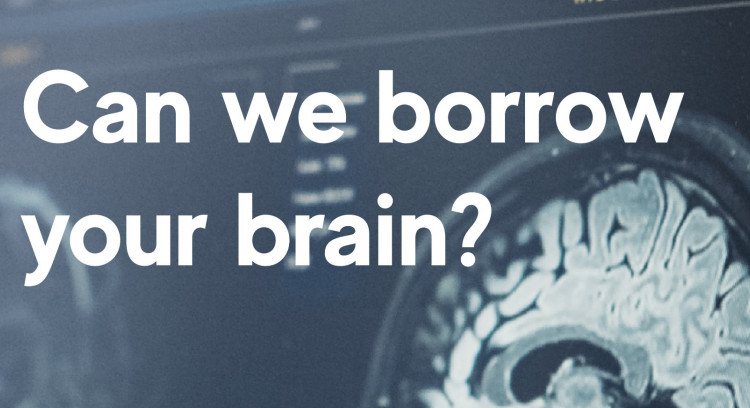 Lasting Impact: Pioneering Research on the Link Between Traumatic Brain Injuries and Parkinson's Disease