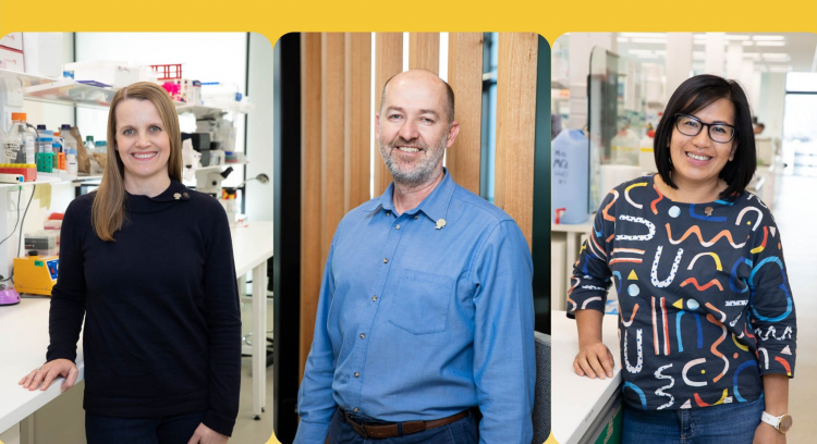 Researchers convert NRF seed funding into more than 1.6 million for SA brain tumour research support