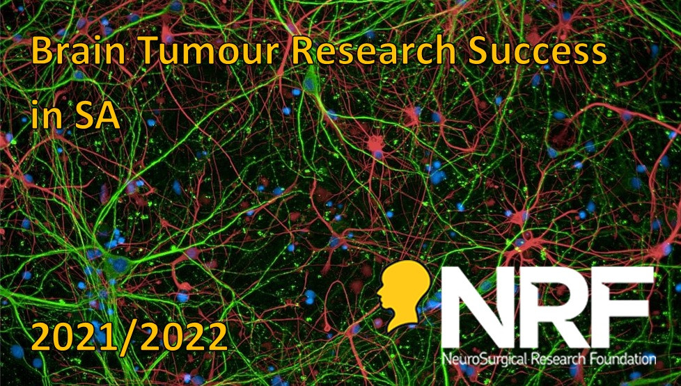 Brain Tumour Research Success in South Australia by the NRF  image