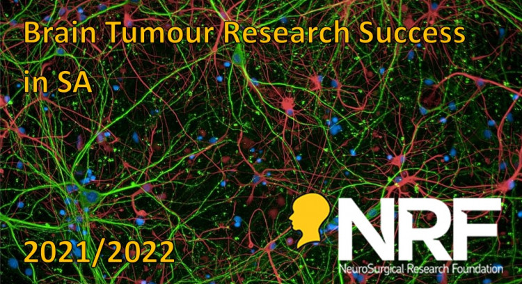 Brain Tumour Research Success in South Australia by the NRF 