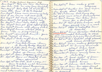 Dean W diary.png (173 KB)