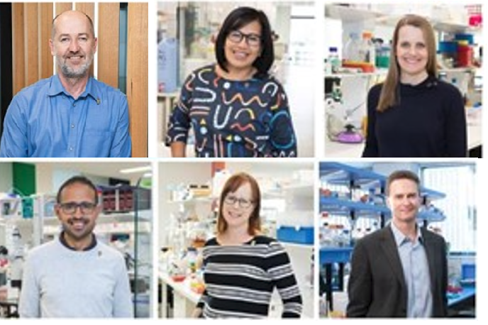Researchers convert NRF seed funding into $3.2 million for SA brain tumour research support image