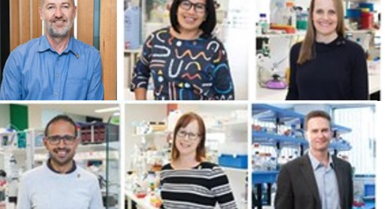 Researchers convert NRF seed funding into $3.2 million for SA brain tumour research support