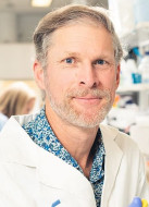 Dr Brett Stringer BMedSc MBBS PhD