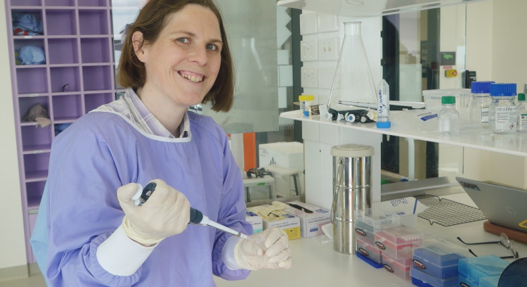 Head jolts in teens impairs brain cells by Clare Peddie